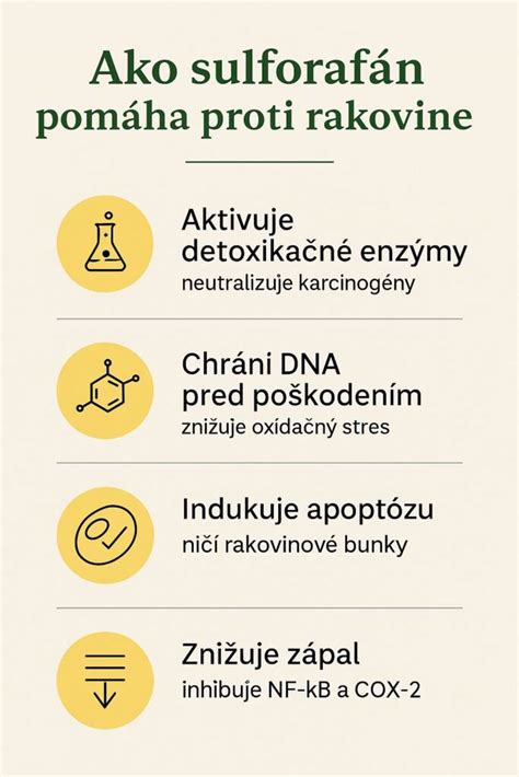 Infografika zobrazujúca zloženie piva a jeho potenciálne zdravotné benefity.
