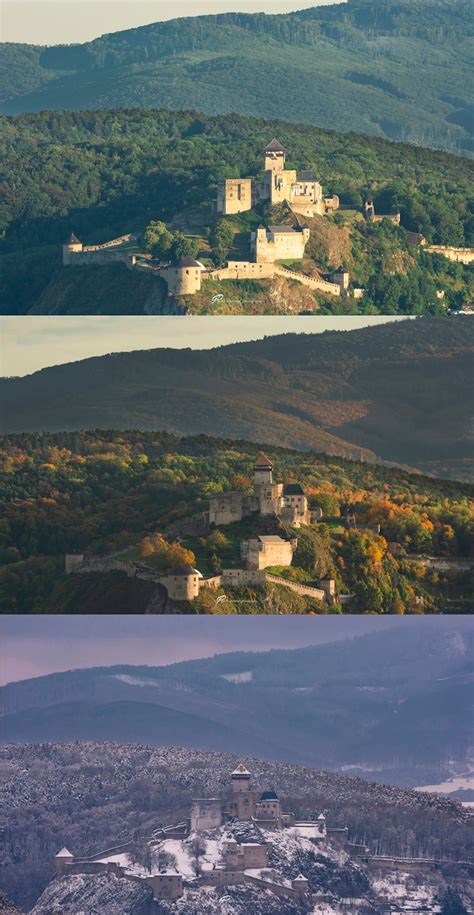 Vinica v rôznych ročných obdobiach