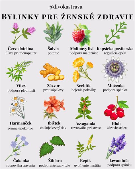 Bylinky na ženské zdravie