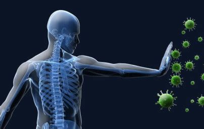 Ilustrácia ľudského tela s dôrazom na kožu a imunitný systém