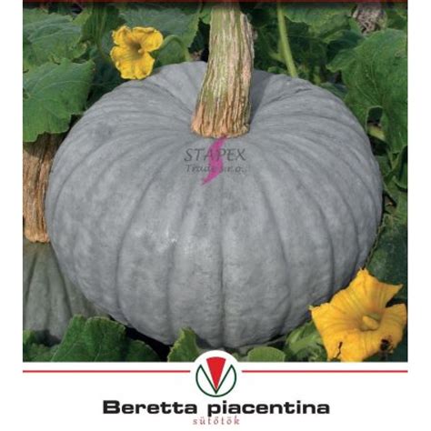 rozpolená tekvica pripravená na pečenie