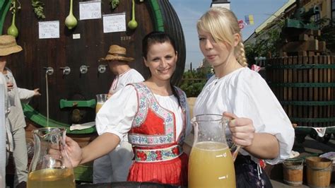 Rôzne štádiá kvasenia hroznového muštu