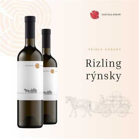 Porovnanie listov Rizlingu rýnskeho a Rizlingu vlašského