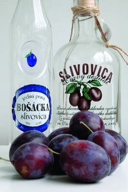 Ilustračná fotografia sadu sliviek v Bošáckej doline