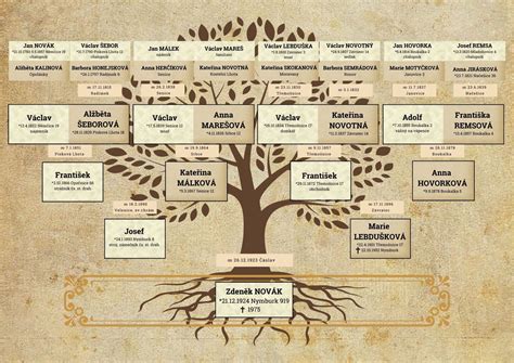 Rodinný strom rodiny Bacardi