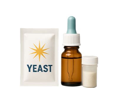 Kvasinky premieňajúce cukor na alkohol