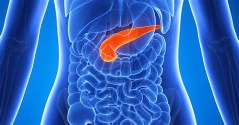 Ilustrácia účinkov alkoholu na pankreas