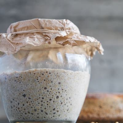 kvasinky v mikroskope