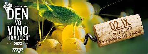 Slovenské vinice na svahoch Malých Karpát