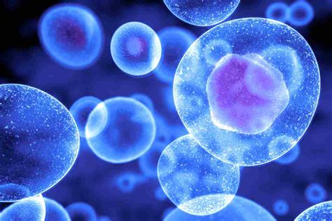 Ilustrácia poškodenia buniek acetaldehydom