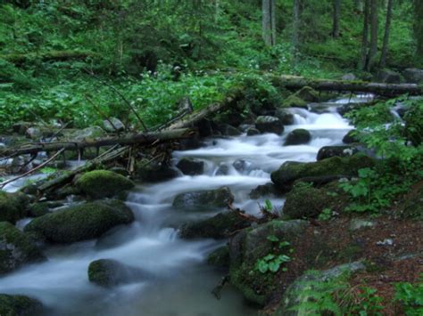 Pohľad na čistý horský potok