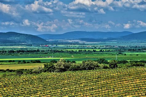 Tokajská vinohradnícka oblasť