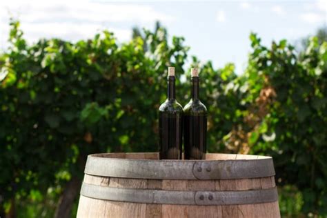 Ilustrácia hrozna a pohára vína s kvapkou