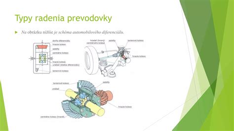 Schéma zobrazujúca rôzne typy tikov (motorické a vokálne)