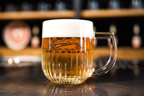 Zlatisté pivo v pohári