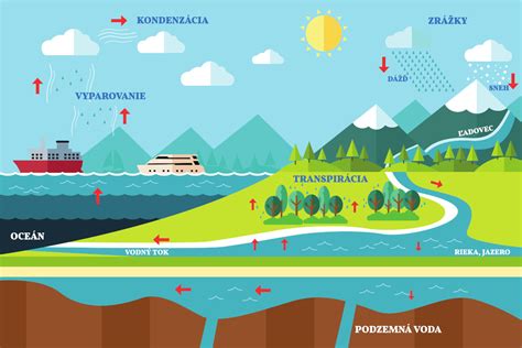 Diagram znázorňujúci kolobeh podzemnej vody