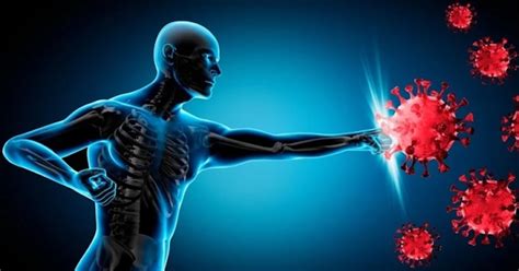 Infografika zobrazujúca ako alkohol oslabuje imunitný systém