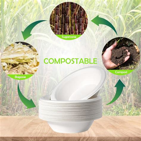 Detailné zábery na rastlinu cukrovej trstiny a zrelé plodiny