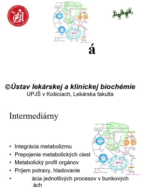 Infografika ukazujúca metabolizmus liekov v pečeni