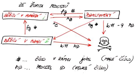 Ilustrácia procesu odkalovania muštu