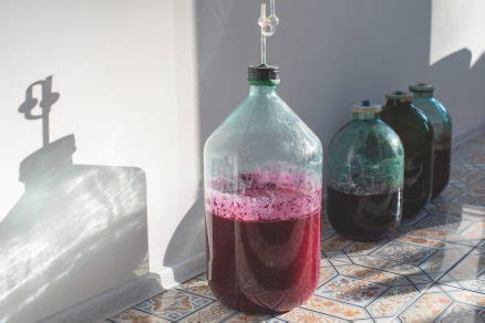 Ilustrácia procesu macerácie hrozna pri výrobe rosé vína