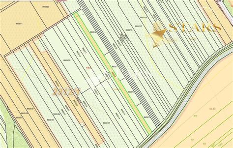 Ilustrácia ovocného sadu