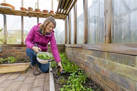 Chránené nádoby s jahodami počas zimy