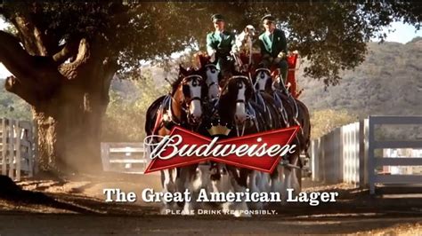 Šteniatko a kôň v reklame Budweiser