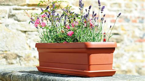 Symbolický kvetináč s odrezanou hlavou ako varovanie