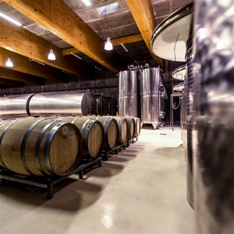 vinárstvo a výroba vína