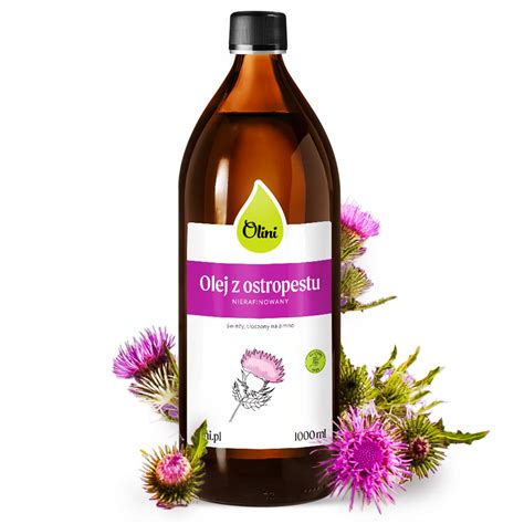 Ilustrácia ostropestreca mariánskeho