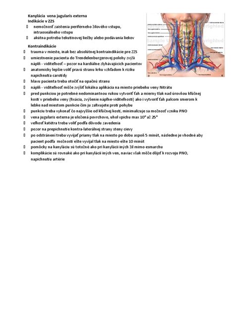 Anatomické znázornenie pečene a portálneho žilového systému