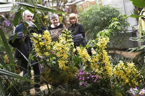 Kaktusy v Botanickej záhrade UPJŠ v Košiciach