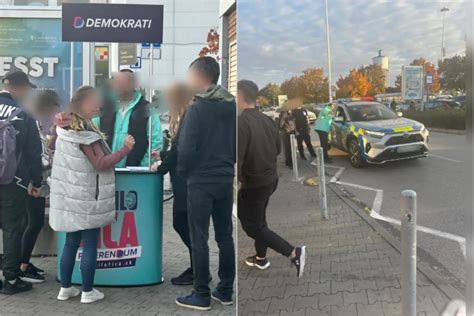 Španielska vinica počas zberu