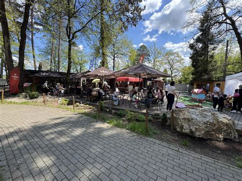 Spišská krajina s borievkami