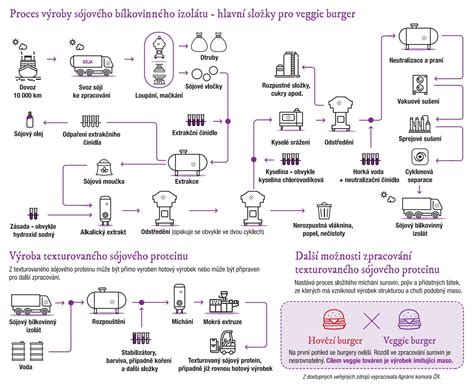 Infografika zobrazujúca proces výroby vodky od surovín po finálny produkt