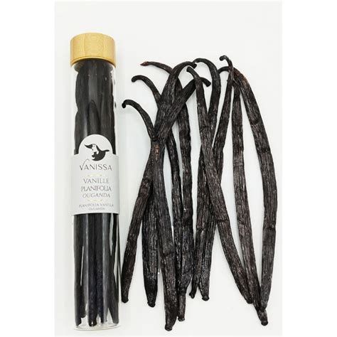vanilkový lusk a koreniny