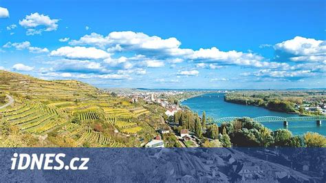 Vinohrady v okolí Levíc