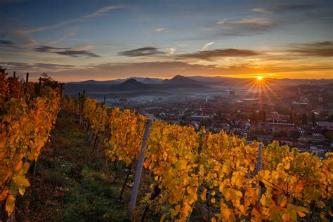 francúzske vinice Jura