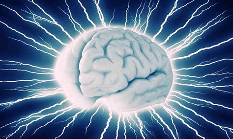 Ilustrácia mozgu s označenými oblasťami ovplyvnenými alkoholom a kofeínom