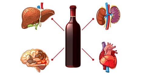 Ilustrácia znázorňujúca vplyv alkoholu na reprodukčné zdravie