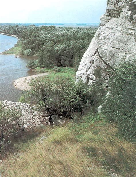 Ilustračné foto črevnej virózy