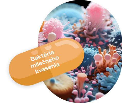 Mikroskopické zobrazenie baktérií mliečneho kvasenia