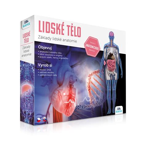 Ľudské telo a jeho systémy ovplyvnené alkoholom