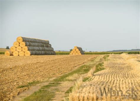 Stoh škoricových tyčiniek
