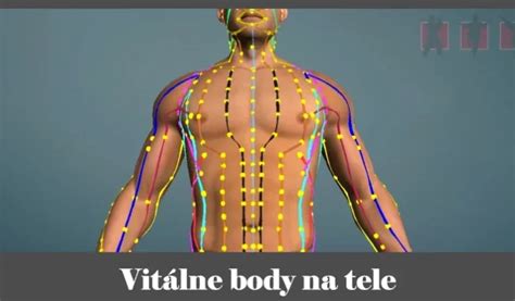 Mapa akupunktúrnych meridiánov a bodov