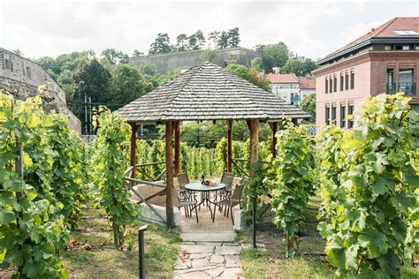 Vinice v Mojmírovciach