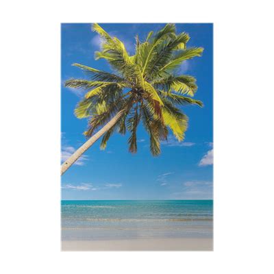 Kokosová palma rastúca na pláži