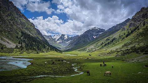 Kirgizské hory s pasúcimi sa koňmi