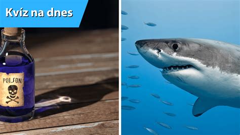 Infografika o rôznych druhoch chmeľu a ich arómach